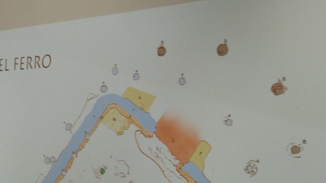 Reconstruction of the First Italian Domestic Cat