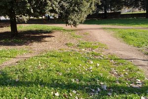 Giardino Gabriele Baldini