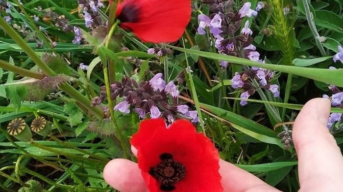 Giardino Gabriele Baldini