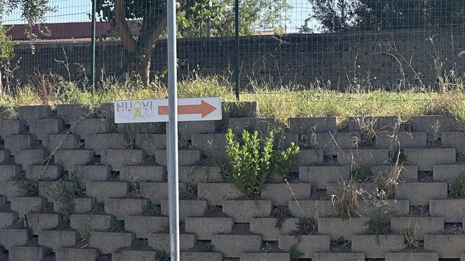 Abebe Bikila Memorial Plaque