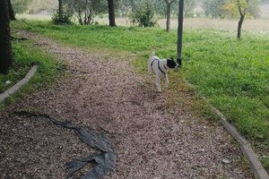PARCO DANIELE SEBASTIANO