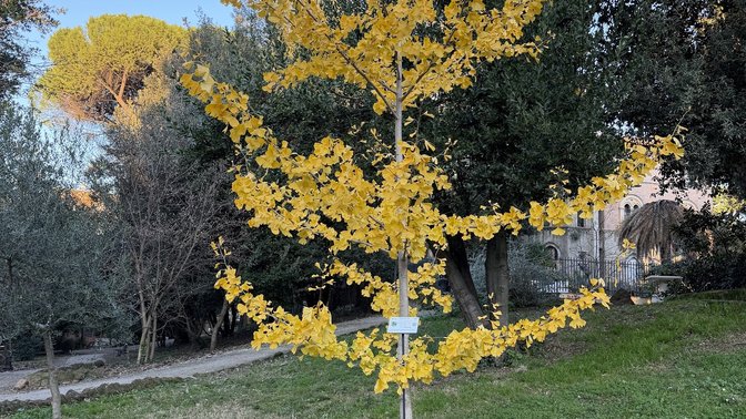 Ingresso Nord - Villa Leopardi Dittajuti