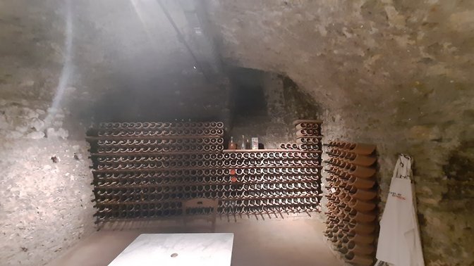 Borgia Gallery Arena Magna