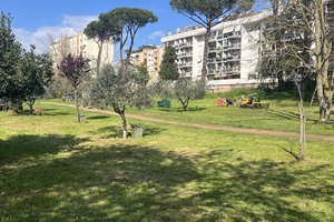 Parco pacchiarotti
