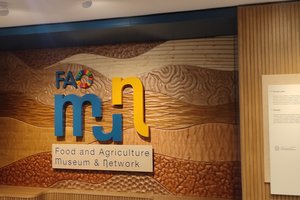 FAO MuNe \u002D FOOD AND AGRICULTURE MUSEUM \u0026 NETWORK