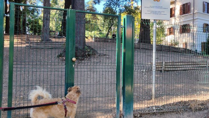 Area cani Villa Blanc