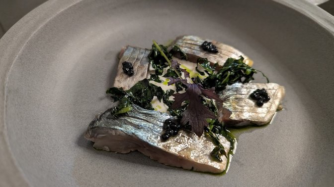DOGMA Ristorante