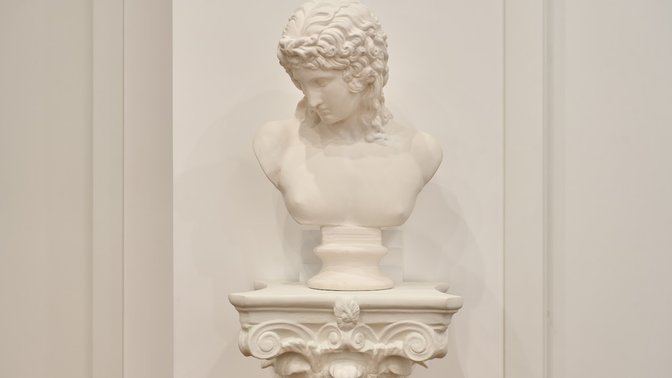 Domus Mariani - Robinie