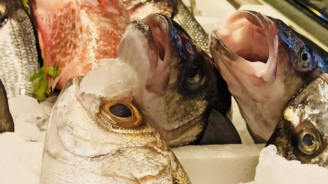 Che FC Ristorante di pesce