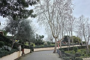 Riserva Naturale Valle dei Casali