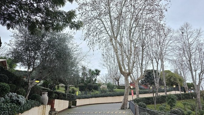 Area Contigua Valle dei Casali