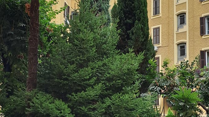 B&B La Luna nel pozzo, Rome