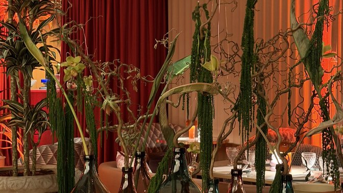 LUDO Dine & Vibe