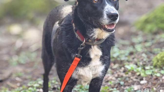 Riserva Naturale Valle dell'Aniene