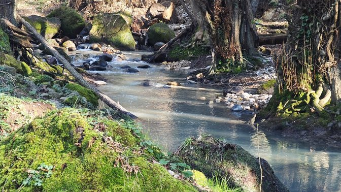 Riserva Naturale Valle dell'Aniene