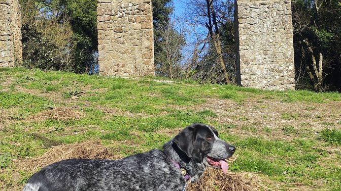 Riserva Naturale Valle dell'Aniene