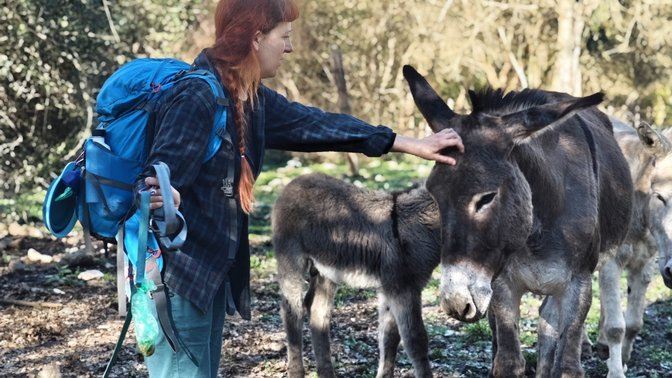 Riserva Naturale Valle dell'Aniene