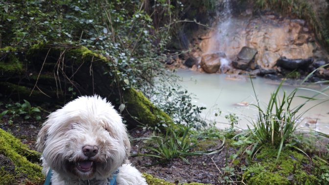 Riserva Naturale Valle dell'Aniene