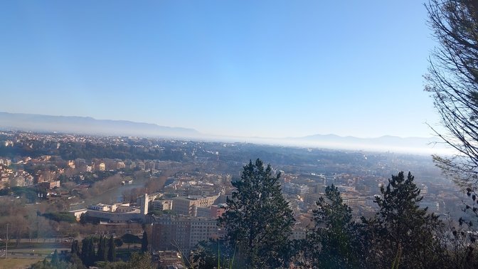 Cipresso Monumentale di Monte Mario