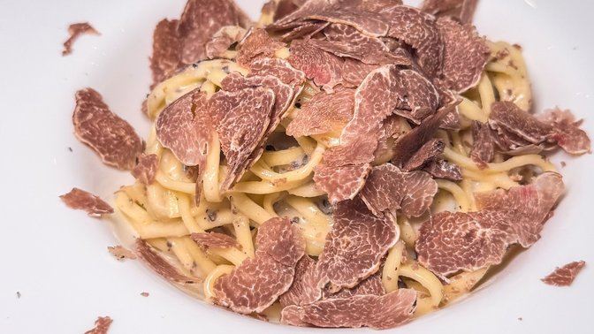 BOSCO® - officine del TARTUFO