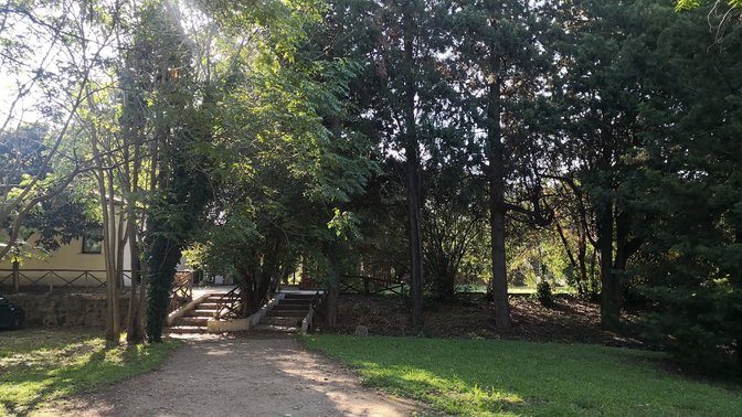 Giardino della Facoltà di Ingegneria