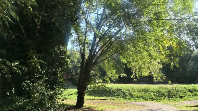 Giardino della Facoltà di Ingegneria