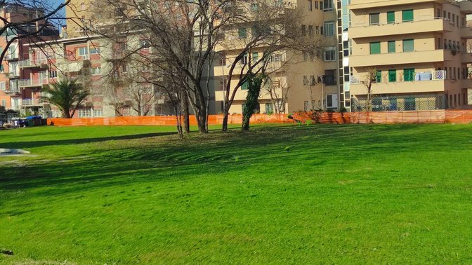 Giardino della Facoltà di Ingegneria