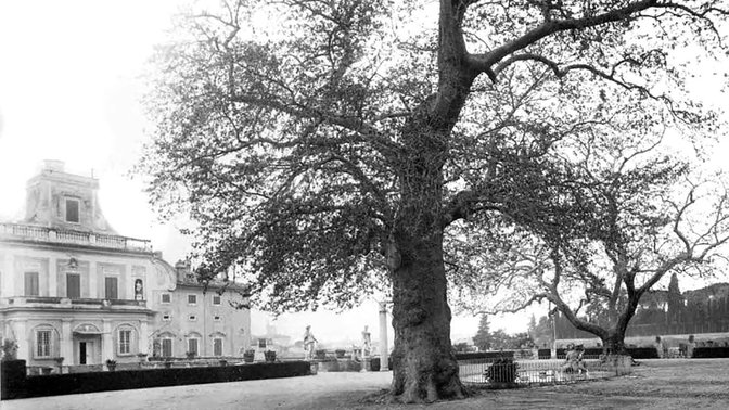 Palazzo Grande di Villa Ludovisi