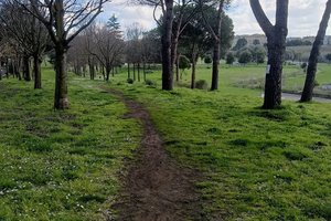 Parco Amalia Bettini