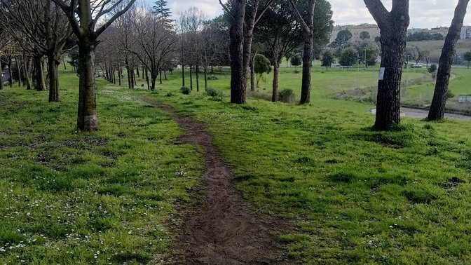 Parco Amalia Bettini