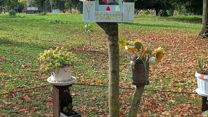 Parco Amalia Bettini