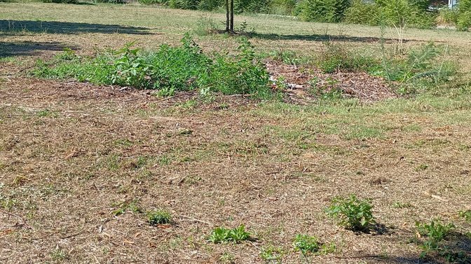 Parco Amalia Bettini