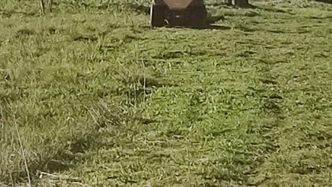 Parco Amalia Bettini