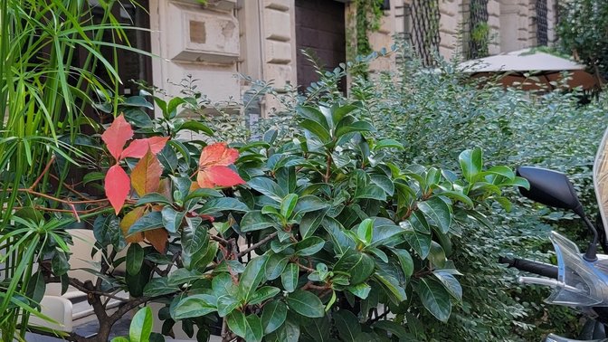 Palazzo Sampieri Olgiati