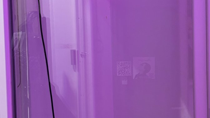 Morgana Lengfeld Show Lab