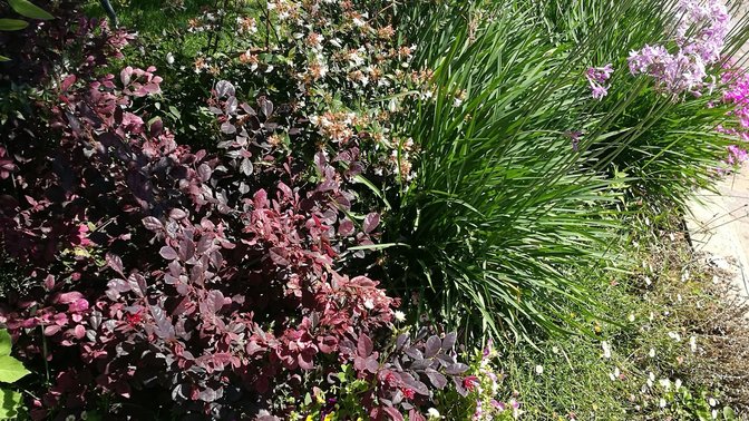 b&b Parco degli acquedotti