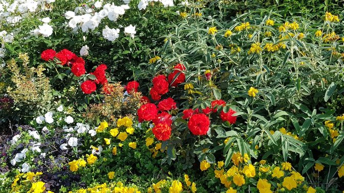 b&b Parco degli acquedotti